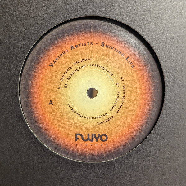 Various - Shifting Life-0